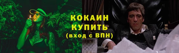 ешки Ладушкин