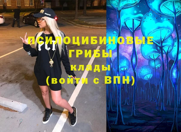 шишки Беломорск