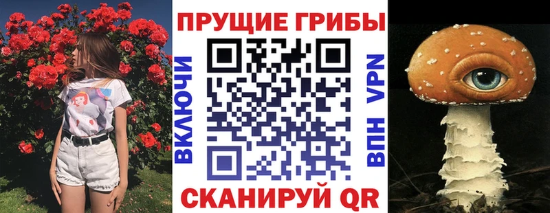 магазин  наркотиков  Мглин  Галлюциногенные грибы ЛСД 